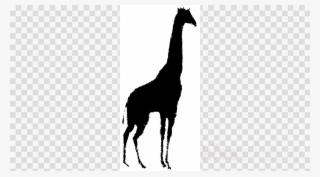 Name Clipart Name Animal Llama - Clip Art