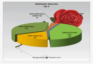 Flores Rosas Perú Exportación - Export