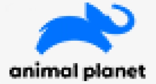 362 - Animal Planet Logo 2018