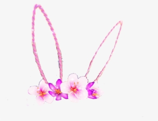 Bunnyrabbit Bunny Bunnyears Snapchat Snapchatfilter - Moth Orchid