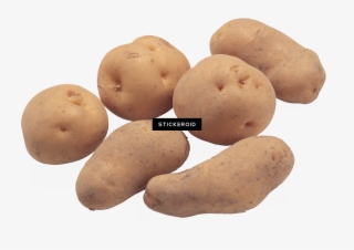 Potato S - Potato