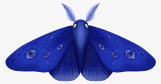 Moth Png