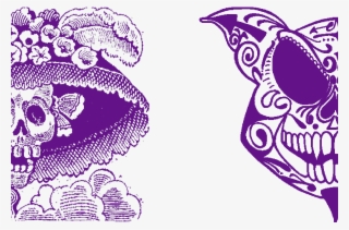 Learn More - Illustrator
