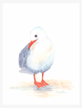Watercolour Seagulls - Seagull Watercolour One Of Three Framed Print Size: