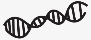 Dna - Science Tools Clipart Black And White