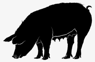 Download Png - Silhouettes Of Pig Png