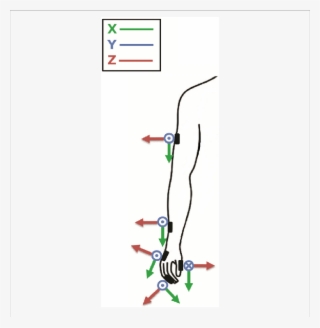 The Figure Shows Where Sensors Were Placed