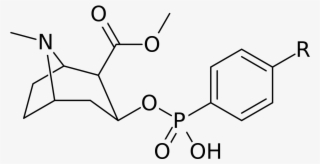 Cocaine Analog - Chloramphenicol