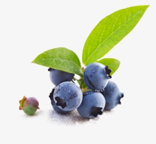 Bio Blueberry - Holika Holika Blueberry Juicy Mask Sheet 20ml