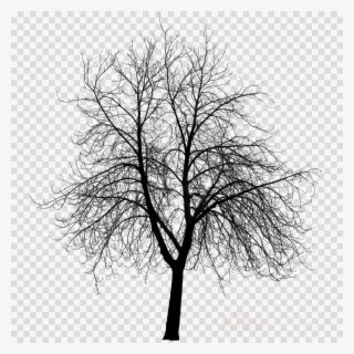 Bare Tree 3d Model Clipart Tree The Work Of Wind - Creepy Tree Silhouette Png