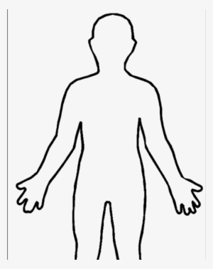 Body Chalk Outline Png Wwwimgkidcom The Image Kid - Human Body Outline Sketch