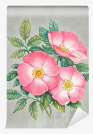 Watercolor Illustration Of Dog-rose Flower Wall Mural - Illustration