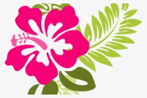 Beautiful Flowers Hawaiian Flower Vector - Hawaiian Flower Clipart Png