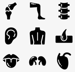 Human Body Icon Png - Human Body Symbols