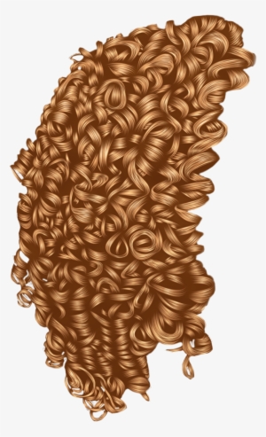 Drawing Hair Curled - Hair Curly Png