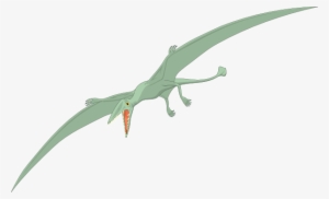 Small - Passaro Dinossauro
