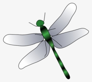 Dragonfly - Adult - Most Downloaded - Vector Illustration/drawing - Dragonfly Drawing