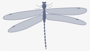 Dragonfly Damselflies Insect Computer Icons Drawing