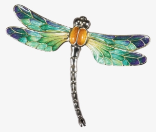 Free Png Dragonfly Png Images Transparent - Dragonfly Png