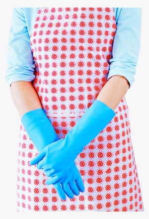 manual empleo doméstico: limpieza doméstica