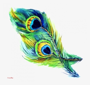Peacock's Feather - Peacock Feater Clip Art