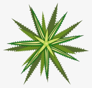 This Free Icons Png Design Of Bromelia-05