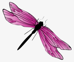 Dragonfly Gif Png