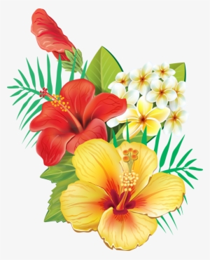 Tropical Flowers Png - Transparent Tropical Flowers Png