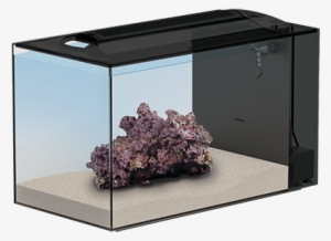 Top Trusted Tips On Moving Your Reef Tank - Reef Aquarium