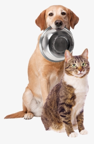 My Perfect Pet Lightly - Dog And Cat Png