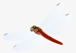 Red Dragonfly Png Clipart - Hunting Knife