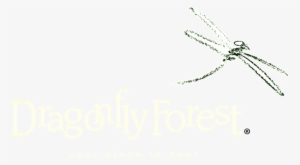 Dragonfly Png