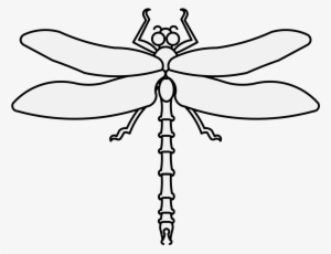 Details, Png - Dragonfly