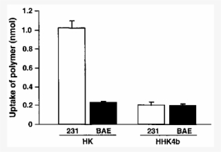 Uptake Of Hk And Hhk4b Associated Complexes In Bae - Diagram