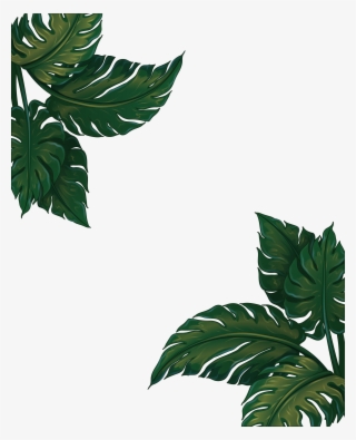 Leaf Musa Euclidean Vector Green Frame Basjoo - Banana Leaves Frame Png