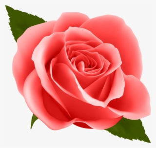 Free Png Red Rose Png Images Transparent - Happy New Month Flower