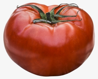 Tomato Png Image - Tomato