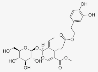 File - Oleuropein - Calycosin 7 O Β D Glucoside