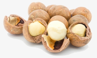 Macadamia Nuts Png Picture - Macadamia Nuts Png