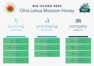 Big Island Bees - Illustrator