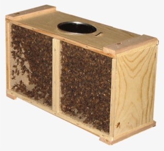 3lb package of bees