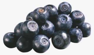 Free Png Images - Bilberry