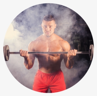 2643 - Muscles - Muscle