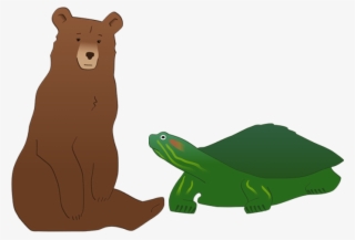 Bear-turtle - Bear