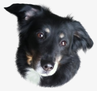 Tasca Memorial Art - Companion Dog