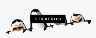 Penguins Of Madagascar