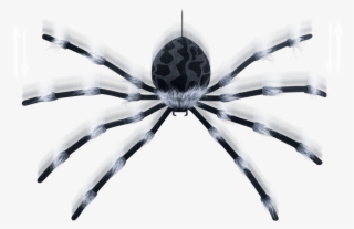 Large Shaking Spider - Holiday