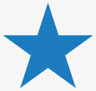Bernie - Star Red Logo