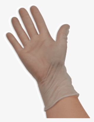 Vinyl-handschuh Transparent M - Glove