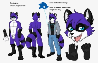 Setsuneraccoon Nsfw - Cartoon